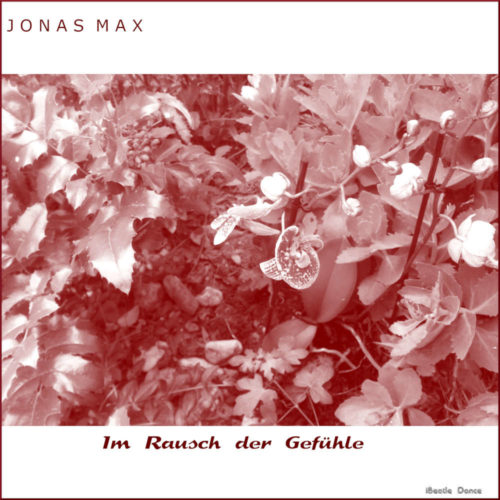 Gefühle von Jonas Max